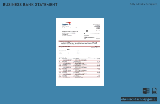 Beispiel eines Kontoauszugs des Capital One Bank-Firmenkontos (Word- und PDF-Datei)